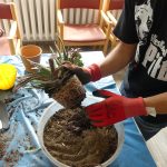 Projekt Pflanzen-Pflege