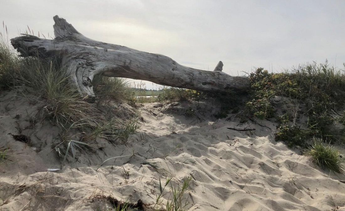 Urlaub an der Ostsee 2020 Strand